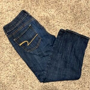 American Eagle Artist Stretch Cropped Straight Leg Jeans